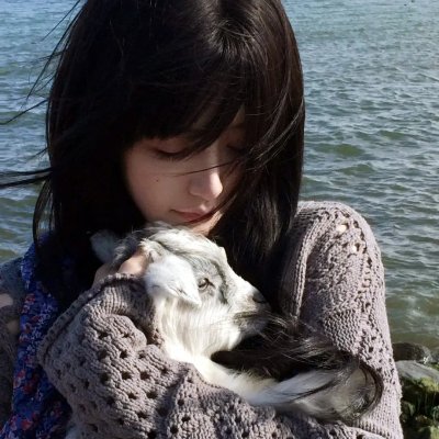 真爱囧冤家